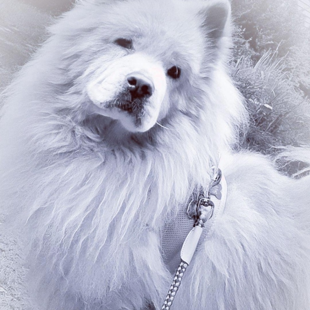 Meet your Posher, Linda